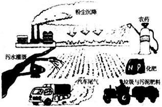 我国土壤污染总体形势相当严峻.土壤深度酸化.盐渍化.砷.汞.铅.镉等重金属含量较大.农药等有机污染物残留严重.这对农业生产的可持续发展和人类健康安全造成了威胁.读图回答下列问题. (1)过量使用化肥